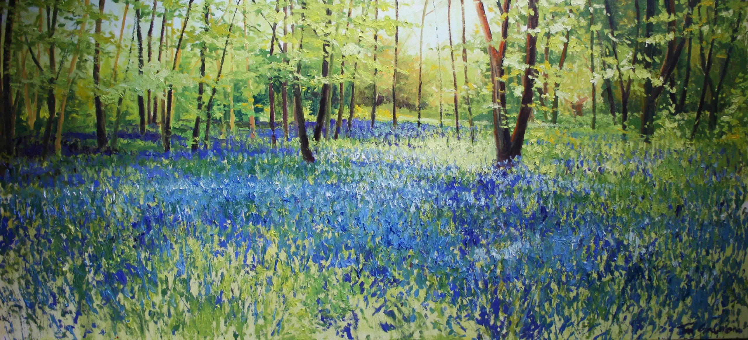 Bluebell Woods